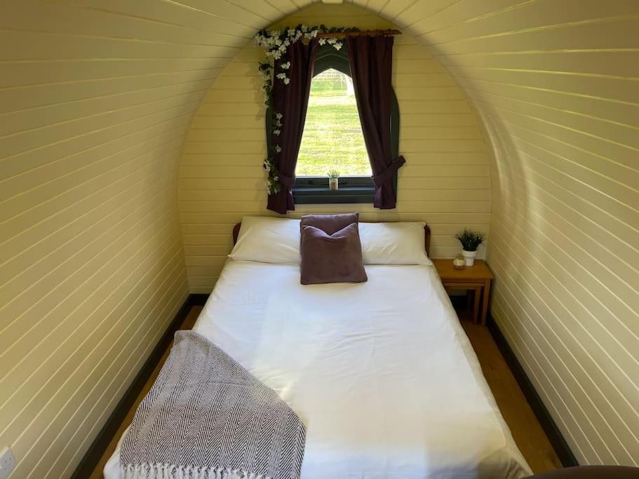 Belle Vista Glamping & Camping ヨーク エクステリア 写真