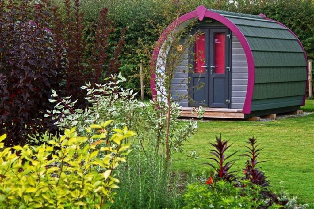 Belle Vista Glamping & Camping ヨーク エクステリア 写真